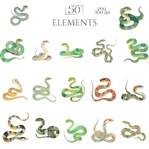 Watercolor Snakes Clipart, Colorful Snake Illustrations, Reptile PNG Elements for Crafts, Serpent Graphics for Classroom Decor, Junk Journal