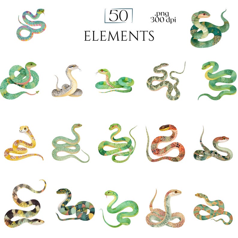 Watercolor Snakes Clipart, Colorful Snake Illustrations, Reptile PNG Elements for Crafts, Serpent Graphics for Classroom Decor, Junk Journal