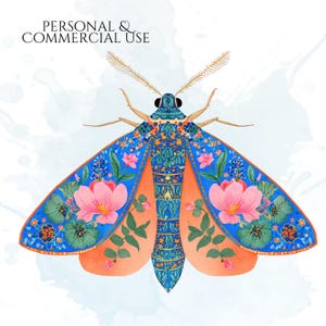 Folk Art Moths Clipart, Floral Moth PNG Illustrations, Decorative Botanical Insect Graphics (60 Files, Transparent Background)