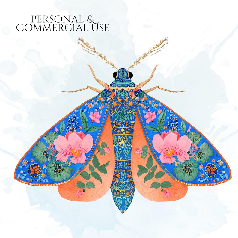 Folk Art Moths Clipart, Floral Moth PNG Illustrations, Decorative Botanical Insect Graphics (60 Files, Transparent Background)
