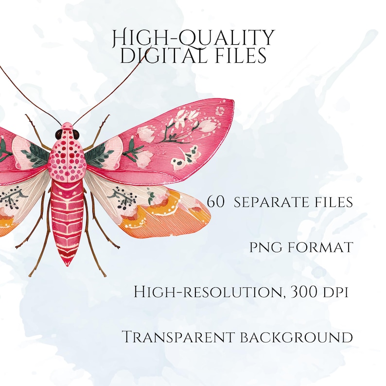 Folk Art Moths Clipart, Floral Moth PNG Illustrations, Decorative Botanical Insect Graphics (60 Files, Transparent Background)
