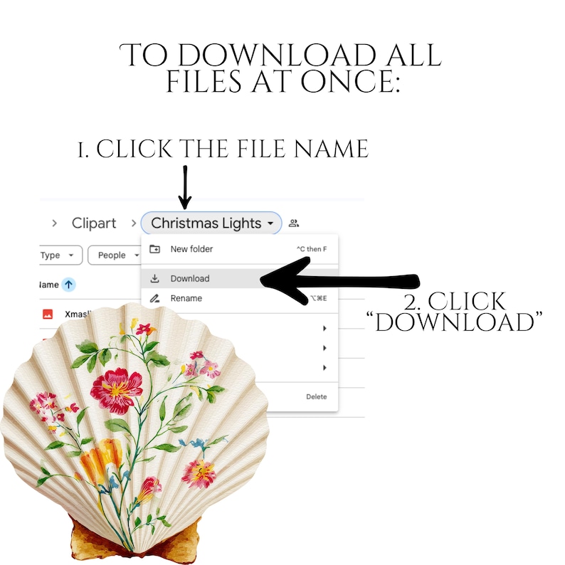 Floral Seashells Clipart, Chinoiserie Seashell PNG Graphics, Coastal Floral Shell Illustrations (60 Files, Transparent Background)