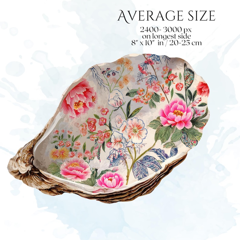 Floral Seashells Clipart, Chinoiserie Seashell PNG Graphics, Coastal Floral Shell Illustrations (60 Files, Transparent Background)