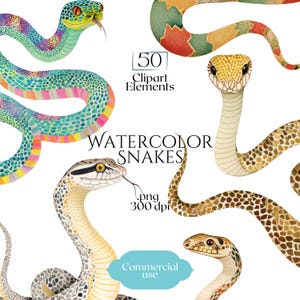 May include: A collection of watercolour illustrations featuring colourful snakes. The image includes text: "Watercolor Snakes", "50 Clipart Elements", and "Commercial use". The snakes are shown in various poses and patterns against a white background.