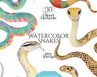 May include: A collection of watercolour snake illustrations featuring various patterns and colours including teal, yellow, brown, and orange. The text reads 50 Clipart Elements, WATERCOLOR SNAKES, .png 300 dpi, and Commercial use on a white background.