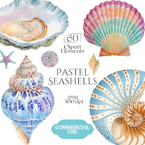 Pastellfärgade snäckskal Clipart, akvarell snäckskalillustrationer, mjuk kustsnäcka PNG-grafik (60 filer, transparent bakgrund)
