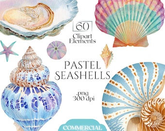 May include: Watercolor illustration of pastel seashells, including a large scallop shell with pink, orange, and blue hues. The image includes text that reads "PASTEL SEASHELLS" and "COMMERCIAL USE".