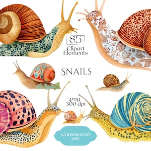 May include: A collection of watercolour snail illustrations with detailed shells in various patterns and colours, including orange, blue, and pink. The image includes the text "85 Clipart Elements," "SNAILS," and "Commercial use."