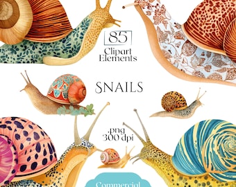 Snails Clipart, Colorful Snail Illustrations, Garden Snail PNG Elements, Cute Snail Graphics for Crafts & Scrapbooking, Snail Junk Journal