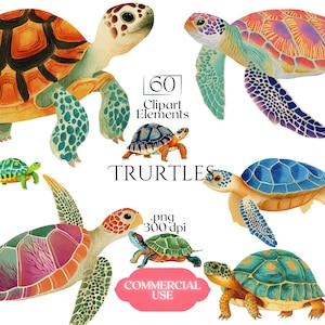 May include: A collection of watercolor illustrations featuring various sea turtles and tortoises in vibrant colors including orange, blue, green, and purple. The text 60 Clipart Elements, TRURTLES, .png 300 dpi, and COMMERCIAL USE is displayed.