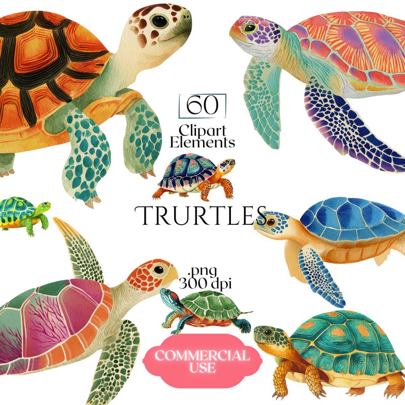 Kids Turtle Wallpaper - Etsy