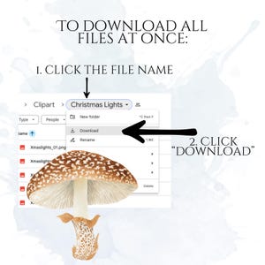 Watercolor Mushroom Clipart, Botanical Mushroom Graphics, Woodland Fungi Illustrations (75 Files, Transparent Background)