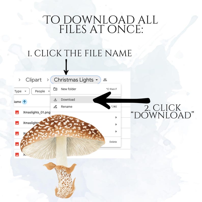 Watercolor Mushroom Clipart, Botanical Mushroom Graphics, Woodland Fungi Illustrations (75 Files, Transparent Background)