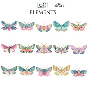 Pastel Moths Clipart, Watercolor Moth Illustrations, Colorful Moth PNG Graphics (60 Files, Transparent Background)