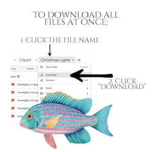 Pastel Fish Clipart, Delicate Coastal PNG Graphics, Tropical Fish Illustrations (60 Files, Transparent Background)