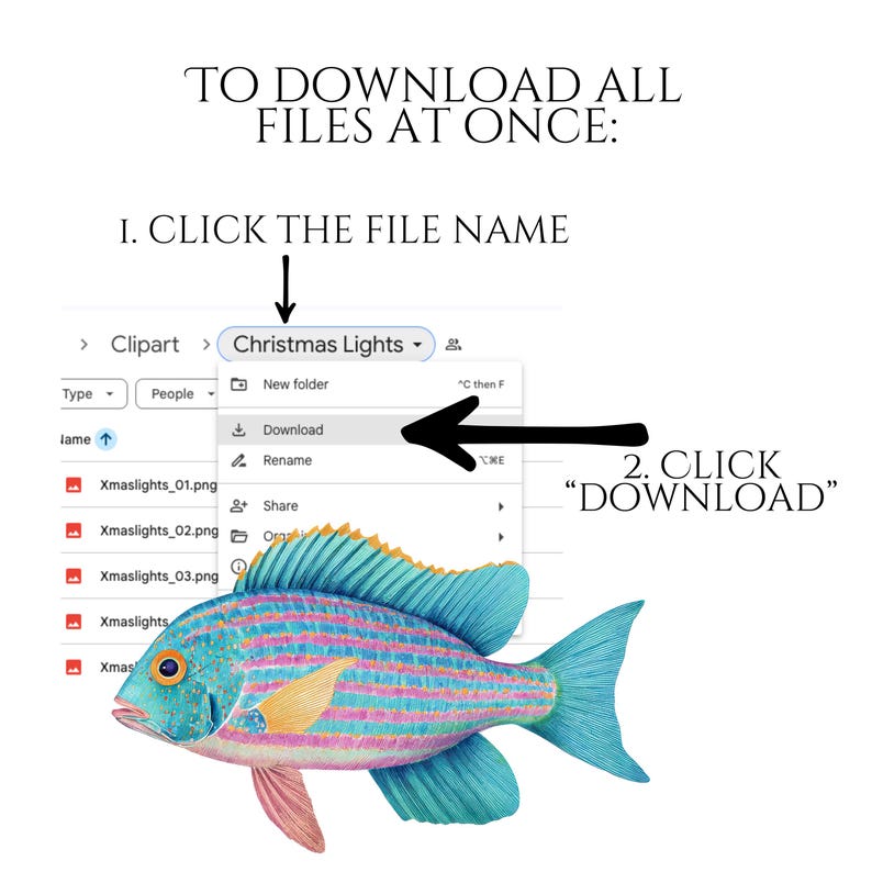 Pastel Fish Clipart, Delicate Coastal PNG Graphics, Tropical Fish Illustrations (60 Files, Transparent Background)