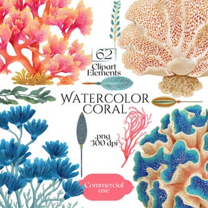 Akvarell korall clipart, tropiska havskorallillustrationer, havsrev PNG-element, korallgrafik för hantverk, korttillverkning och scrapbooking