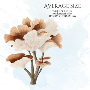 Watercolor Mushroom Clipart, Botanical Mushroom Graphics, Woodland Fungi Illustrations (75 Files, Transparent Background)