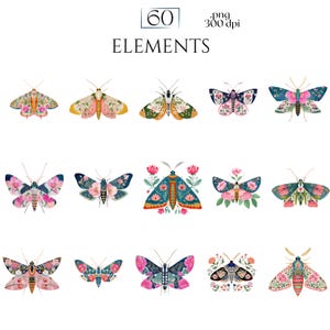 Folk Art Moths Clipart, Floral Moth PNG Illustrations, Decorative Botanical Insect Graphics (60 Files, Transparent Background)