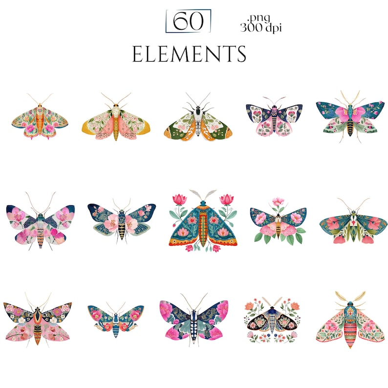 Folk Art Moths Clipart, Floral Moth PNG Illustrations, Decorative Botanical Insect Graphics (60 Files, Transparent Background)