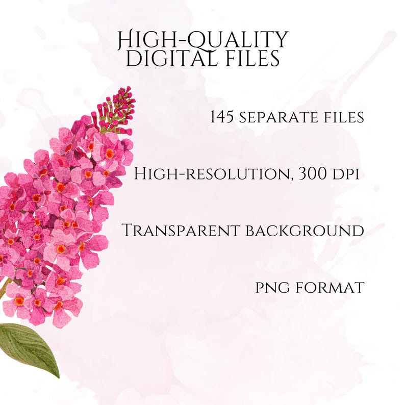 Pink Watercolor Flowers Clipart, Elegant Botanical PNG Bundle, Floral Illustrations for Wedding Invitations, Pinky Ephemera, Bloom Stickers