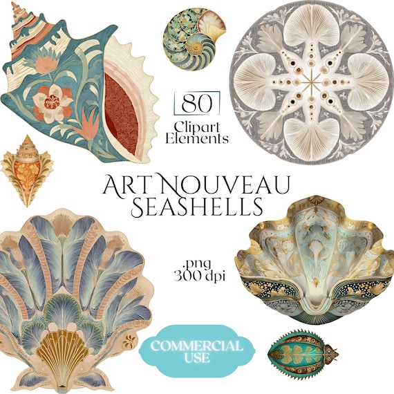 Art Nouveau Seashells Clipart, Ornamental Vintage Sea Shell PNG Graphics with Transparent Background for Branding, Decor & POD