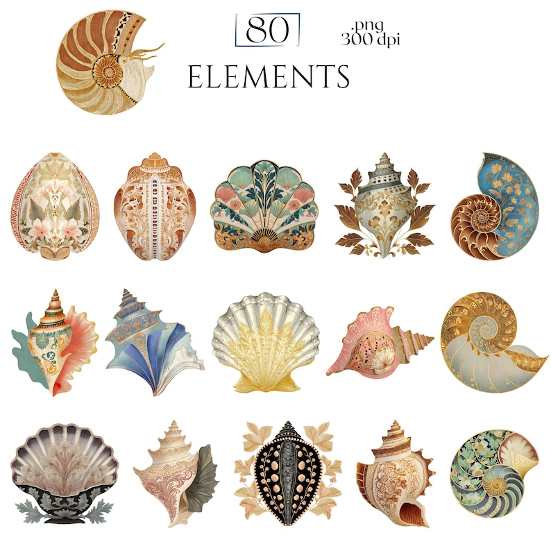 Art Nouveau Seashells Clipart, Ornamental Vintage Sea Shell PNG Graphics with Transparent Background for Branding, Decor & POD