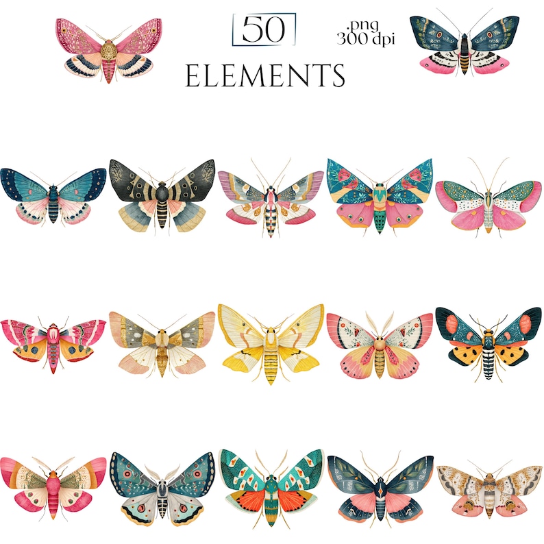 Moths Clipart, Colorful Moth Illustrations, Vintage Insect PNG Elements, Botanical Moth Graphics, Moth Scrapbook, Insect Crafts Junk Journal