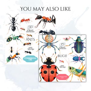 Puede incluir: Una colecci&oacute;n digital de ilustraciones de insectos que incluye hormigas, una mariquita, un saltamontes y varios escarabajos. El texto dice YOU MAY ALSO LIKE, 50 CLIPART ELEMENTS ANTS, 75 CLIPART ELEMENTS BUGS, .png 300 dpi y COMMERCIAL USE.
