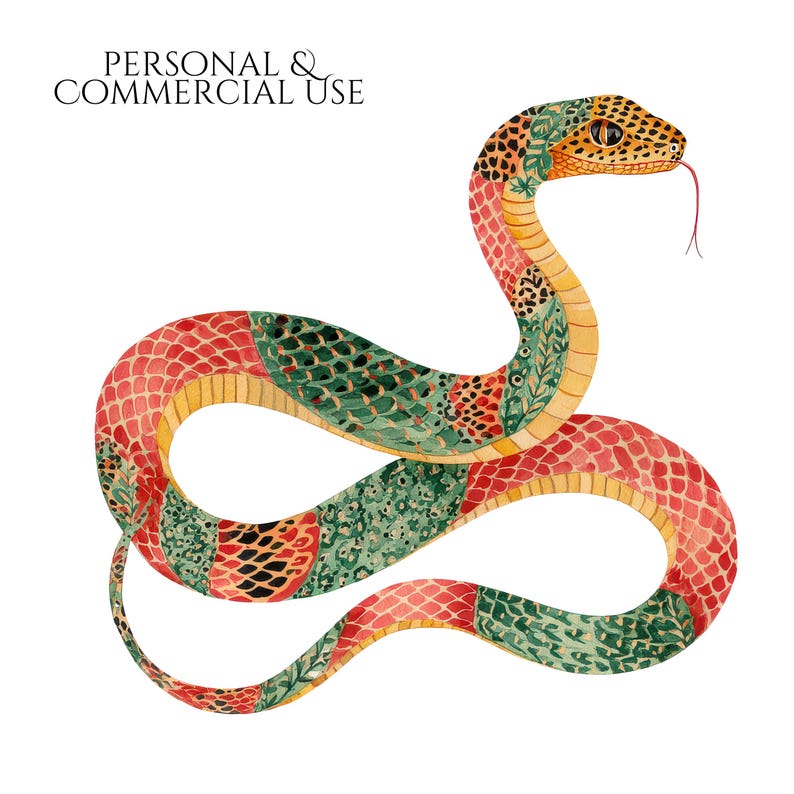 Watercolor Snakes Clipart, Colorful Snake Illustrations, Reptile PNG Elements for Crafts, Serpent Graphics for Classroom Decor, Junk Journal