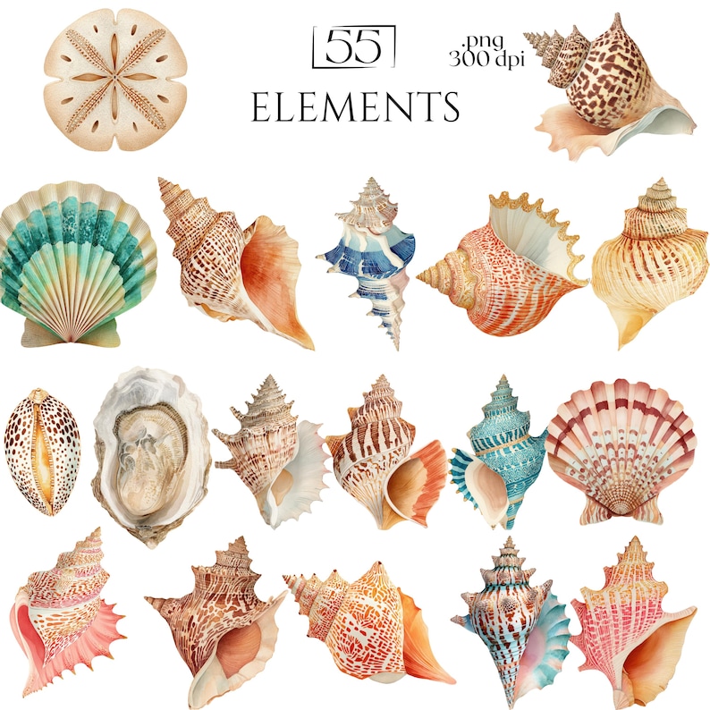 Watercolor Seashell PNG Bundle