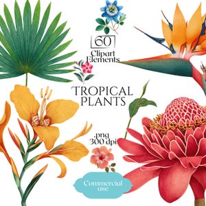 Tropical Plants Clipart, Exotic Botanical PNG Set, Tropical Flower & Leaf Illustrations, Watercolor Jungle Elements, Commercial Use Graphics