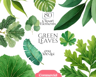 Green Leaves Clipart, Watercolor Leaf PNG Bundle, Botanical Plant Elements, Nature Foliage Graphics for Crafts, Stickers, Planners, & Design