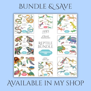 K&ouml;nnte beinhalten: Ein digitales Reptilien-Paket mit 440 Clipart-Elementen im .png-Format bei 300 dpi. Die Sammlung enth&auml;lt Aquarellillustrationen von Schlangen, Eidechsen, Geckos, Fr&ouml;schen, Cham&auml;leons und Schildkr&ouml;ten mit Blumenmustern f&uuml;r die kommerzielle Nutzung.