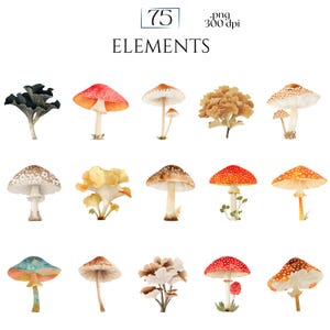 Watercolor Mushroom Clipart, Botanical Mushroom Graphics, Woodland Fungi Illustrations (75 Files, Transparent Background)