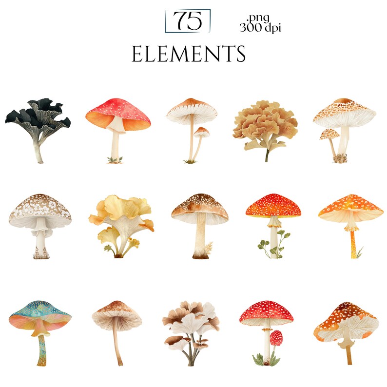 Watercolor Mushroom Clipart, Botanical Mushroom Graphics, Woodland Fungi Illustrations (75 Files, Transparent Background)