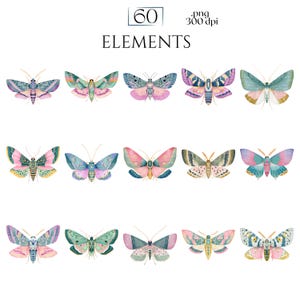 Pastel Moths Clipart, Watercolor Moth Illustrations, Colorful Moth PNG Graphics (60 Files, Transparent Background)