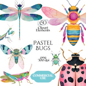 May include: Watercolor illustrations of various pastel-colored bugs, including a dragonfly, bee, cicada, grasshopper, ladybug, and praying mantis. The image includes the text "60 Clipart Elements", "Pastel Bugs", ".png 300 dpi", and "Commercial Use".
