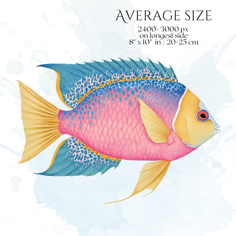 Pastel Fish Clipart, Delicate Coastal PNG Graphics, Tropical Fish Illustrations (60 Files, Transparent Background)
