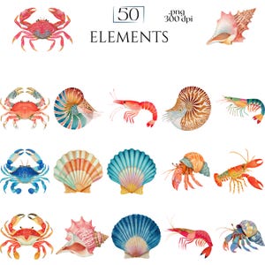 Shellfish Clipart, Crab Lobster Shrimp Oyster Seashell Illustration, Ocean Seafood PNG Elements for Crafts, Coastal Nautical Marine Graphics