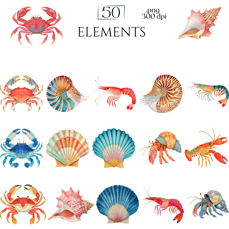 Shellfish Clipart, Crab Lobster Shrimp Oyster Seashell Illustration, Ocean Seafood PNG Elements for Crafts, Coastal Nautical Marine Graphics