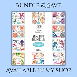 May include: A collection of watercolor sea life illustrations, including seahorses, anemones, and shells. The image features the text "BUNDLE & SAVE", "SEA LIFE BUNDLE", and "AVAILABLE IN MY SHOP". The illustrations are labeled with the names of the sea creatures.