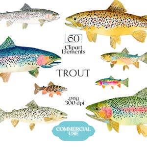 May include: Watercolor illustrations of various trout species, including brown, rainbow, and brook trout. The image features several fish with detailed scales and vibrant colors, with text that reads "60 Clipart Elements" and "Trout".
