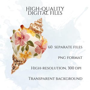 Floral Seashells Clipart, Chinoiserie Seashell PNG Graphics, Coastal Floral Shell Illustrations (60 Files, Transparent Background)