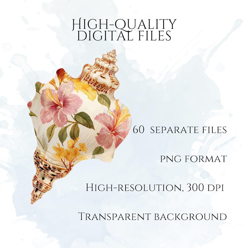 Floral Seashells Clipart, Chinoiserie Seashell PNG Graphics, Coastal Floral Shell Illustrations (60 Files, Transparent Background)