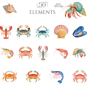 Shellfish Clipart, Crab Lobster Shrimp Oyster Seashell Illustration, Ocean Seafood PNG Elements for Crafts, Coastal Nautical Marine Graphics