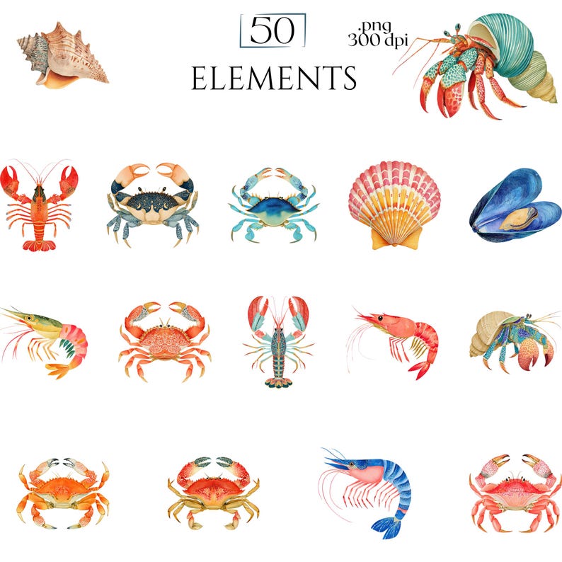 Shellfish Clipart, Crab Lobster Shrimp Oyster Seashell Illustration, Ocean Seafood PNG Elements for Crafts, Coastal Nautical Marine Graphics