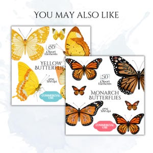 Puede incluir: Una colecci&oacute;n digital de elementos clipart de mariposas con dos conjuntos. Un conjunto muestra mariposas amarillas con 60 elementos y el otro mariposas monarca con 50 elementos. Ambos incluyen etiquetas de texto, png 300 dpi y uso comercial.