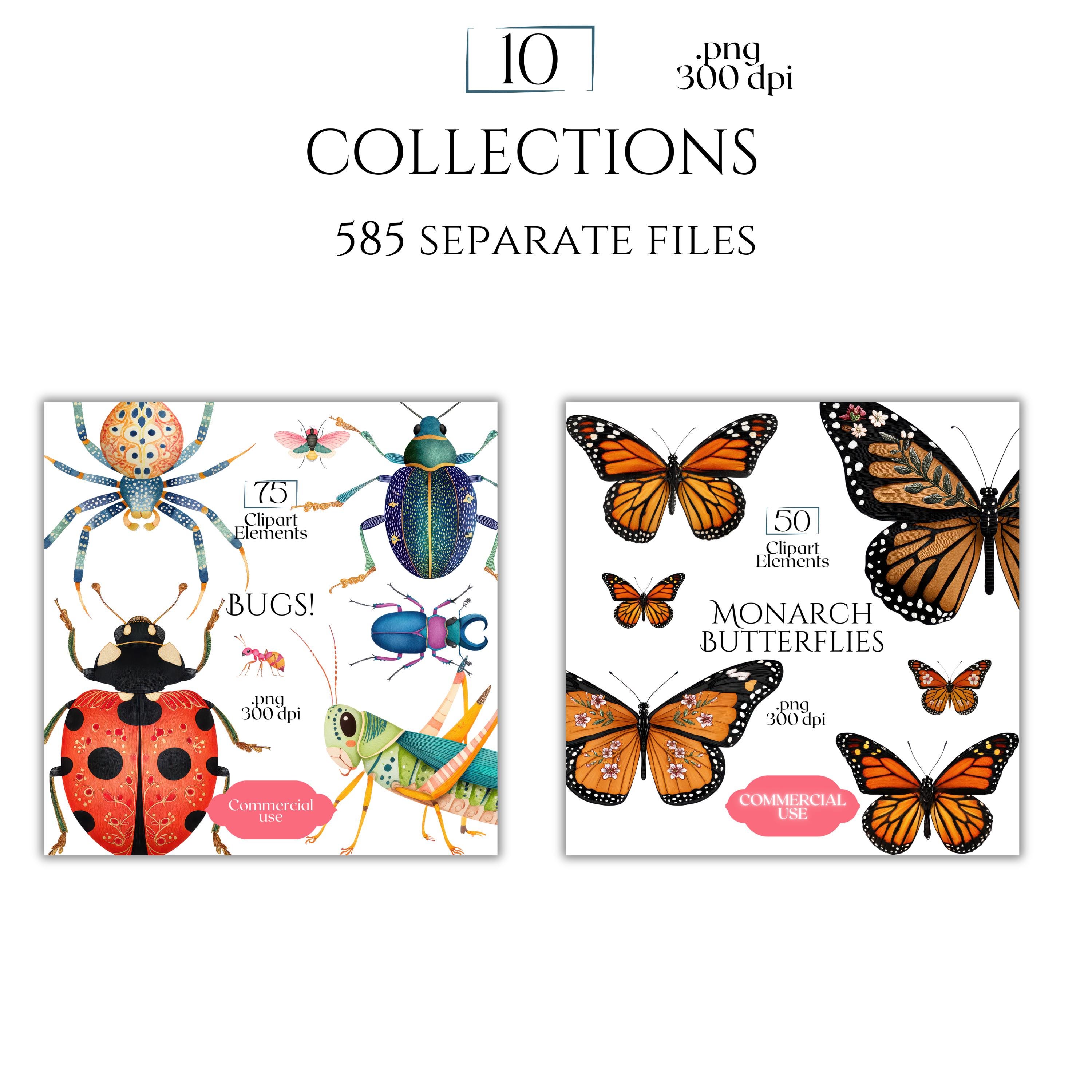 Insect Clipart Mega Bundle, Bug PNG Graphics, Butterfly Beetle Ant ...