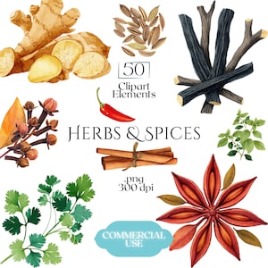 May include: A watercolour illustration featuring a collection of herbs and spices. The image includes ginger, cumin seeds, star anise, cinnamon sticks, cloves, a red chilli pepper, and other green herbs. Text reads "Herbs & Spices" and "50 Clipart Elements."